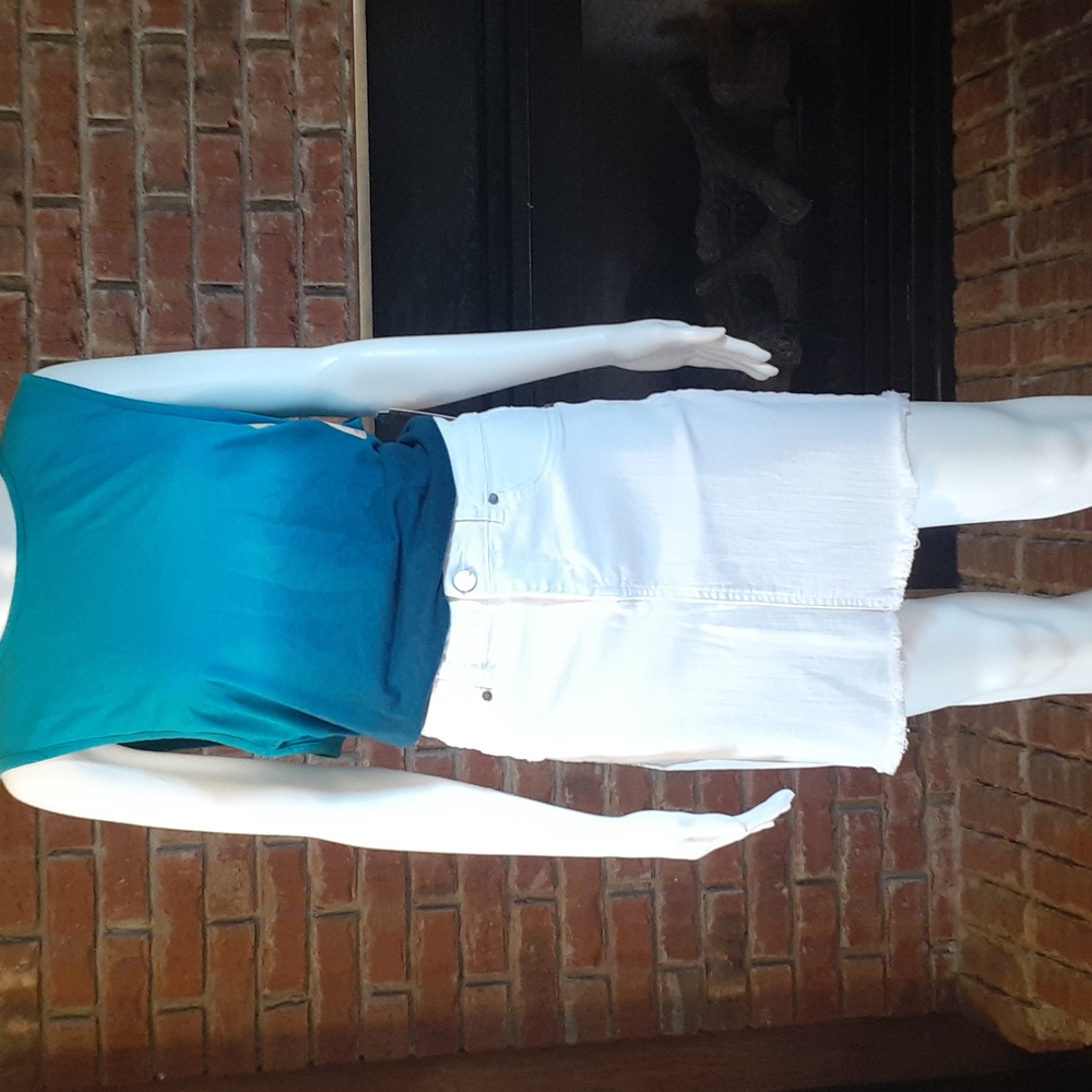 1822 Denim Skirt